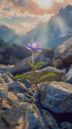 nature aesthetic