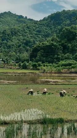 village