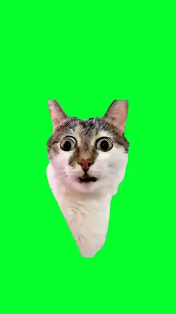 confused