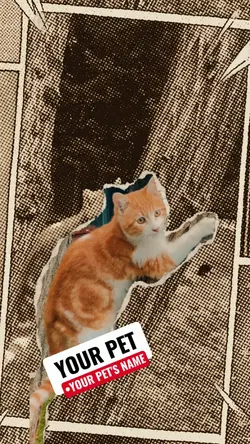 pet introduction 