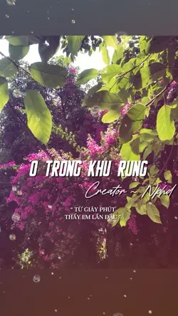 Ở TRONG KHU RỪNG
