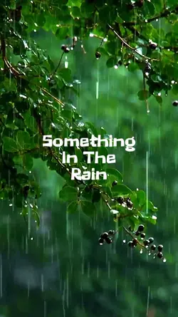 In the rain
