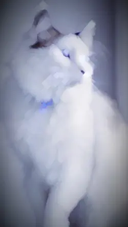 ︎ ︎ ︎ ︎ ︎ ︎ ︎ ︎ ︎ ︎ ︎ ︎ ︎ ︎ ︎ ︎ ︎ ︎ ︎ ︎