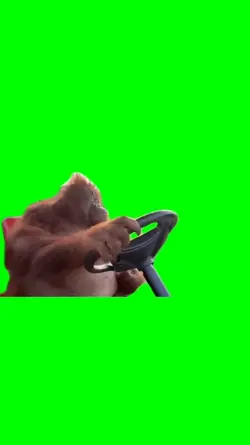 orang utan ride car
