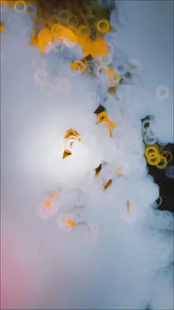 Trending Slowmo 🥀❤️‍🩹
