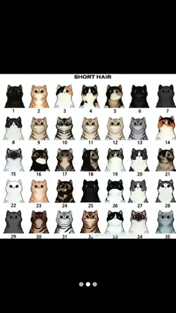 Your cat trend