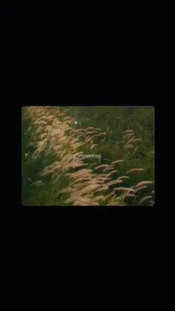 กาลครั้งนึง 💐📼
