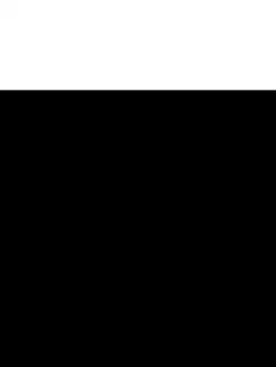 codm text 