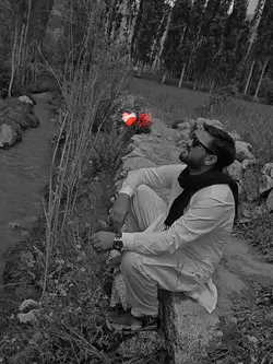 Urdu poetry Template