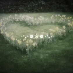 garden core ❀