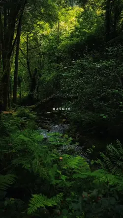 Nature