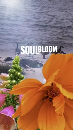SoulBloom