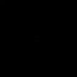 No audio):