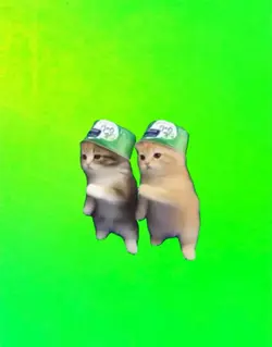 Cats dancin