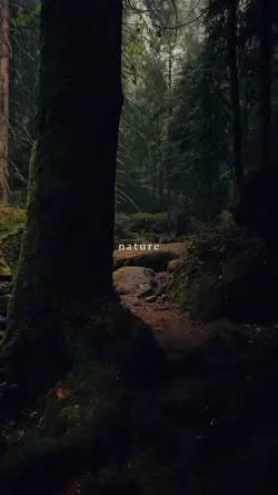 nature, therapy