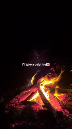 quiet life
