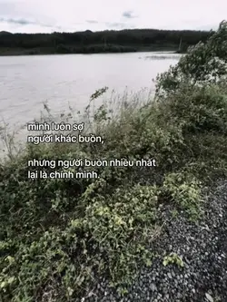 Livephoto+Caption