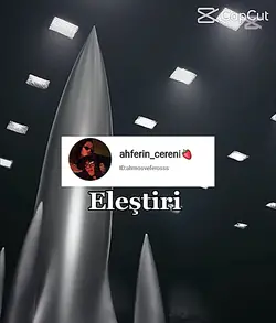 eleştiri 