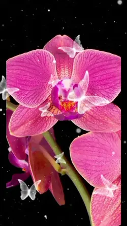 @เอ๋ค่ะ เอ๋ค่ะ