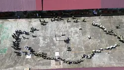 Perpisahan Sekolah