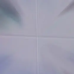 レコードレドです