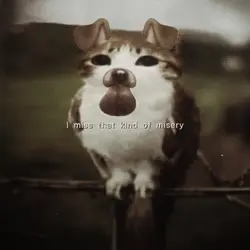misery (with lyrics)
