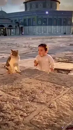 Cute Bay With Cat