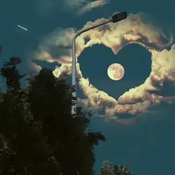 ay amo esta canción
