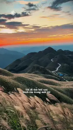 Tôi đi tìm bôi xoá