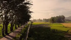 Cinematic Drone
