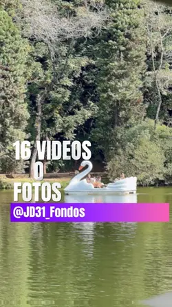 16 Videos o Fotos.