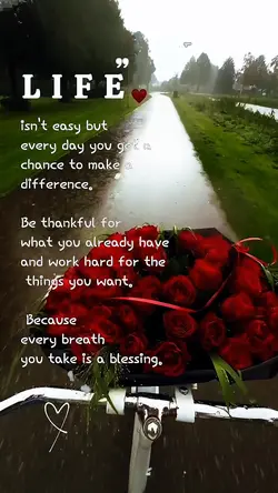 Life isn't eas