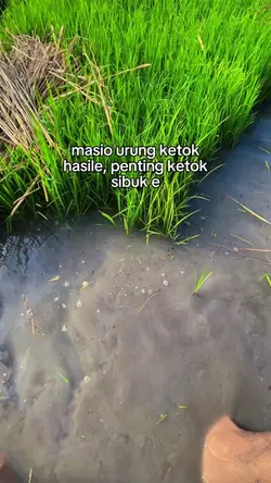 ketok sibuk e