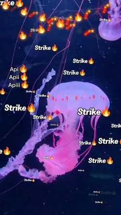 api strike tiktok