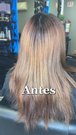 Hair 