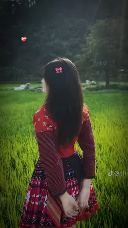 Mẫu 2 ảnh nhẹ nhàng 