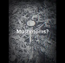 Mushrooms?