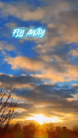 FLY AWAY 
