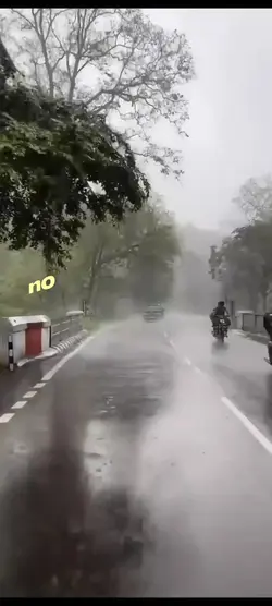 rainyyyy