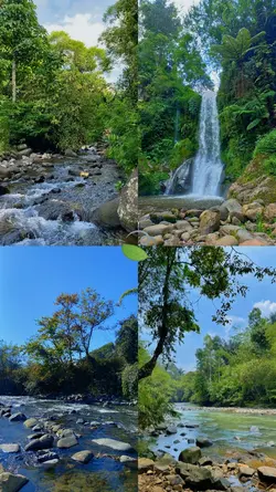 nature 4 photo