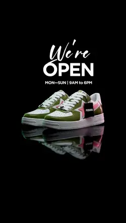 New Collection 