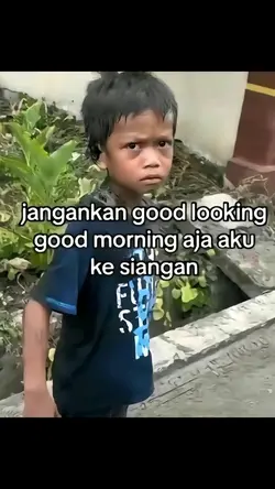 11 foto