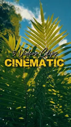 Cinematic 5 Videos 