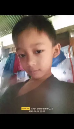 bebe