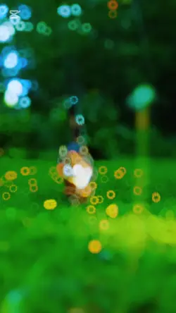 super Slomo video 