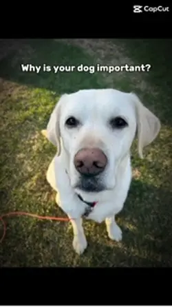 My best friend 