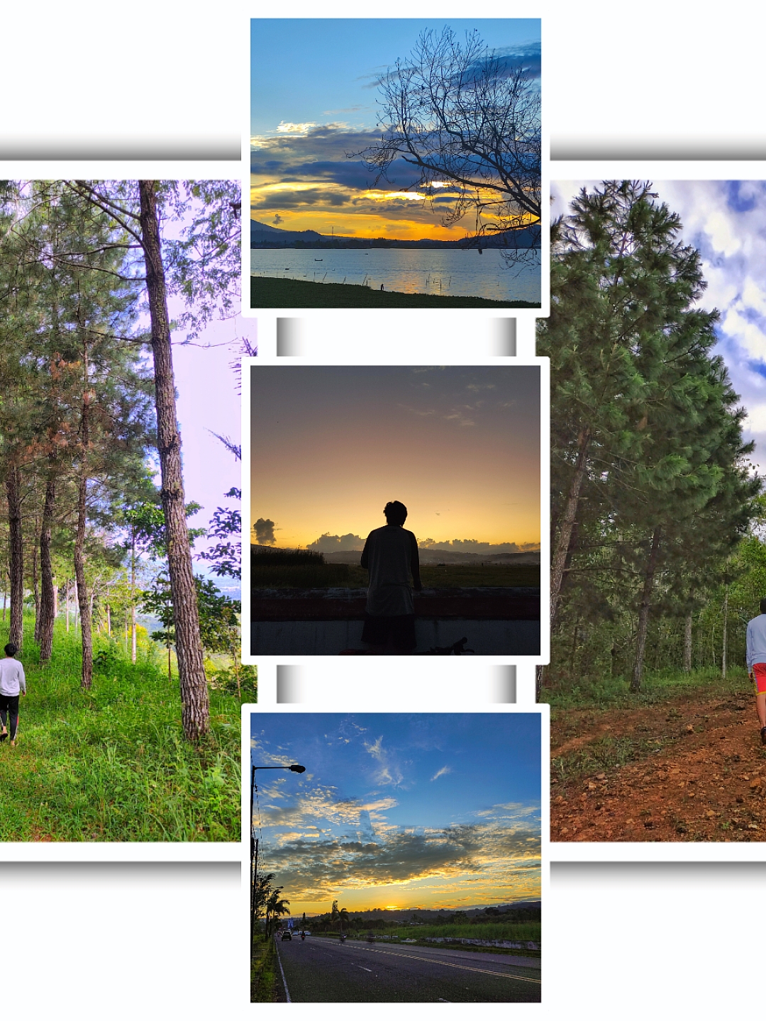 collage split screen vertical - Pippit