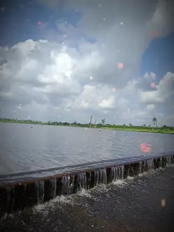 ពេលវេលាអាចបញ្ជាក់