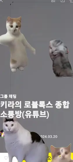 ※광고 맞음※
