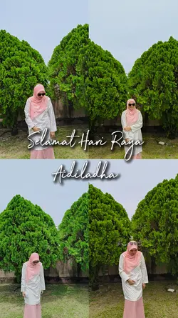 Aidiladha 